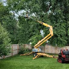 Best Utility Line Clearance  in Fredericksburg, TX
