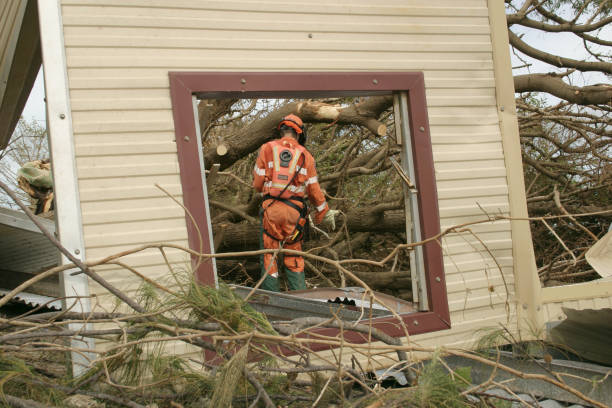 Mulching Services in Fredericksburg, TX