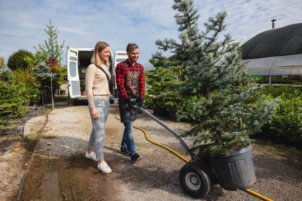 Best Tree and Shrub Care  in Fredericksburg, TX