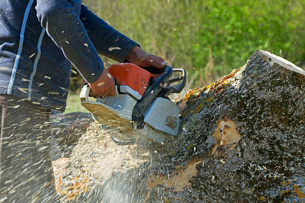 Lawn Grading and Leveling in Fredericksburg, TX